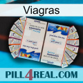 Viagras kamagra1